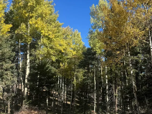 Lot 363 Vail Loop, Angel Fire, NM 87710