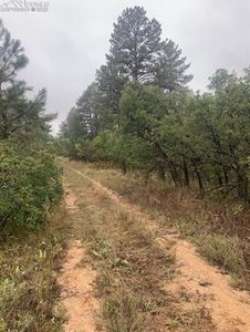 2016 Spring Beauty Ln, Larkspur, CO, 80118