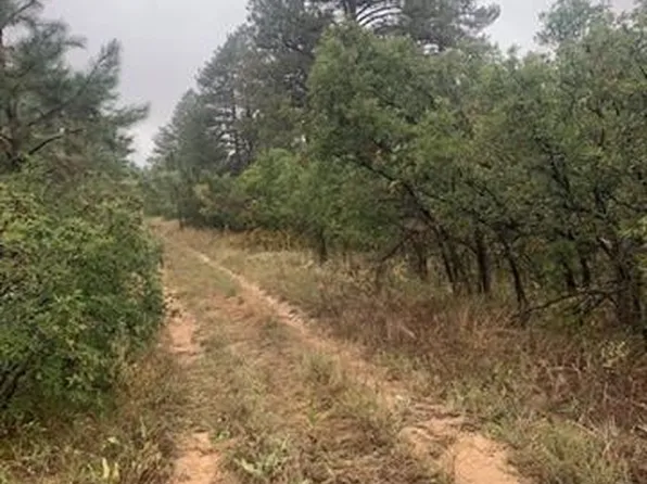 2050 Spring Beauty Ln, Larkspur, CO 80118