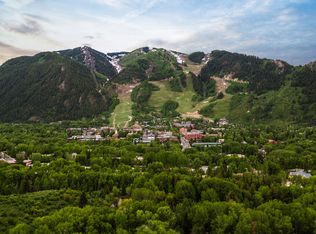 132 American Ln, Aspen, CO 81611