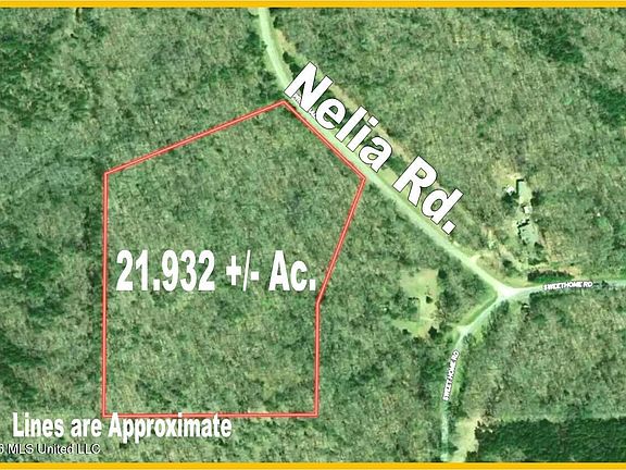 2nd image of 50 Nelia Rd