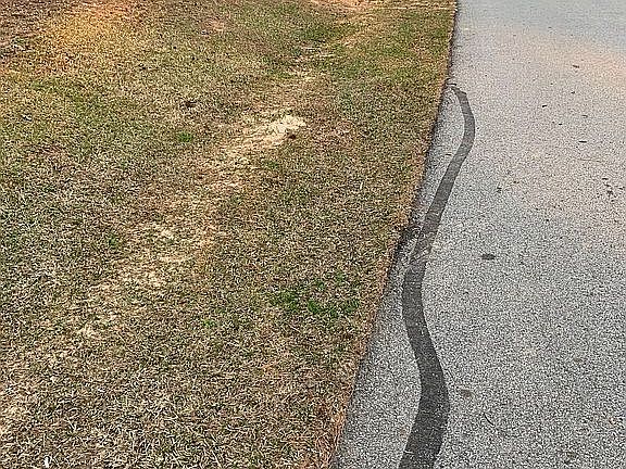 2nd image of 515 Gatewood Dr