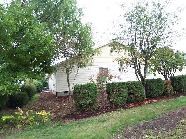 Some established landscaping