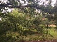 2nd image of 1305 E Ridge Rd