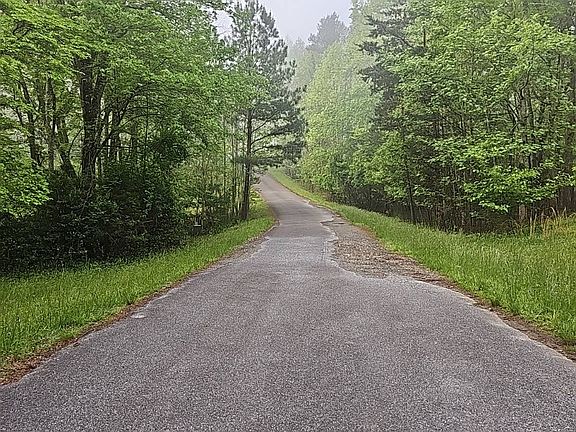 4th image of 231 Fall Ln