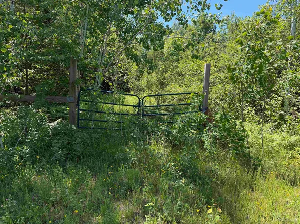Woodspur Rd, Ontonagon, MI 49953