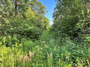 Xx Lake Sylvia Rd, Melrose, MN 56352