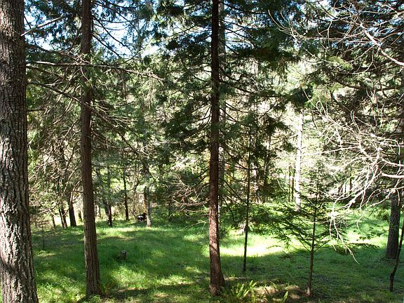 Looking West from Deck