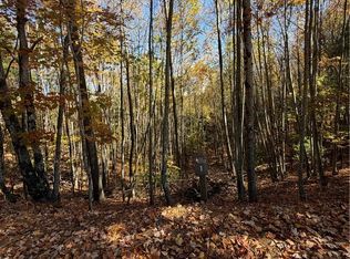 TBD Lower Springs Drive, Jefferson, NC 28640