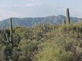 3rd image of 34989 N 99th Way