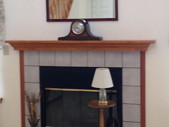 Wood burning fireplace in LR