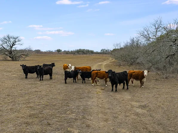 000 County Road 454, Stockdale, TX 78160