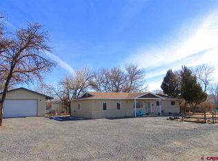12458 E Spring Cir, Eckert, CO 81418