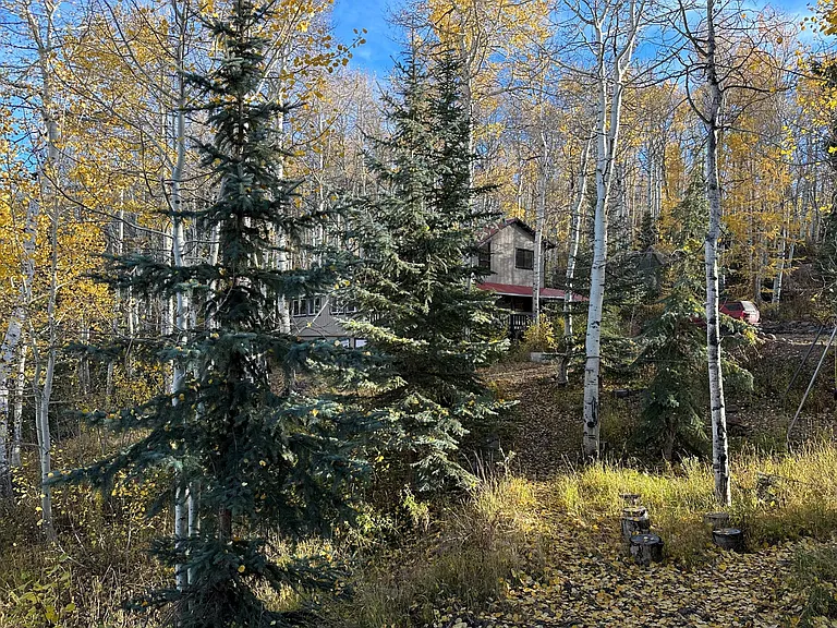 2433 Forest Meadow Rd — Photo 8