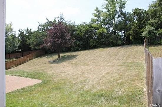 Back yard