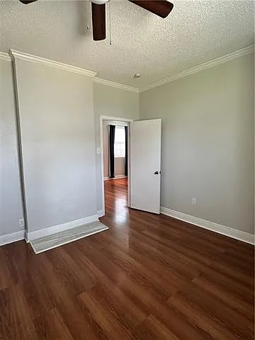 1009 Belleville St — Photo 10