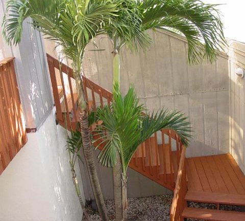 3rd image of 1605 S Us Highway 1 APT 6G