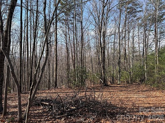 4th image of Deer Run Rd #227