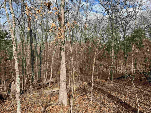 0 Alta Vista Dr, Bull Shoals, AR 72619