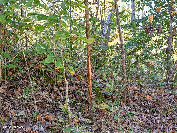 5th image of 3900 Pine Ridge Rd