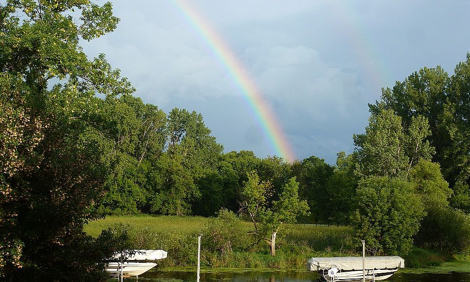 Backyard view