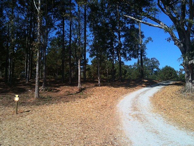 1st image of 409 Harbor Cove Dr