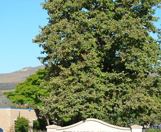 4th image of 2382 Kipana Ave