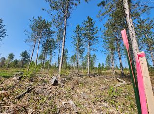 PARCEL Eight Ryno A K A #M-72, Mio, MI 48647