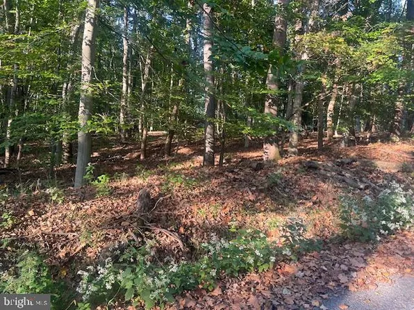 Steamboat Run Rd, Shepherdstown, WV 25443