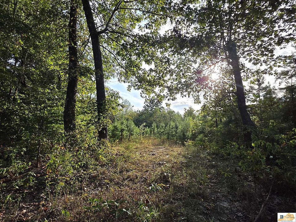 1st image of 197 N Otter Creek Spur