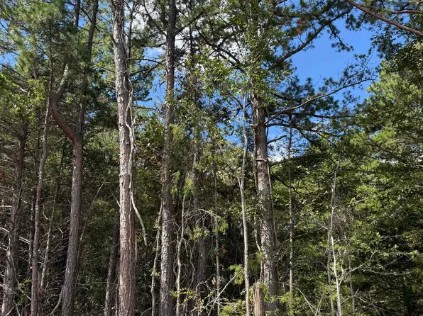 1A County Road 149, Elizabeth, AR 72531