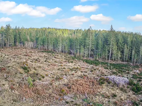 0 E Merlot Lane, Shelton, WA 98584