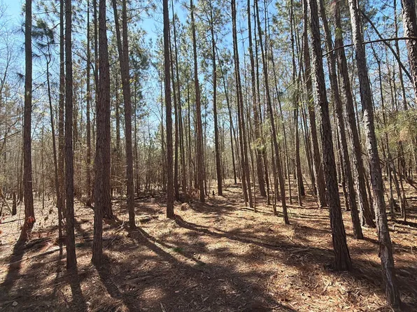 Bhl 10 Boise Cascade Bhl #10, Bethune, SC 29009