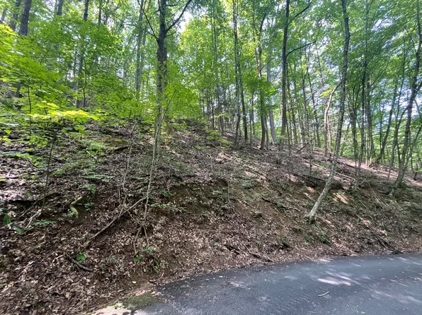 334 Ridgefield Dr, Sevierville, TN 37876
