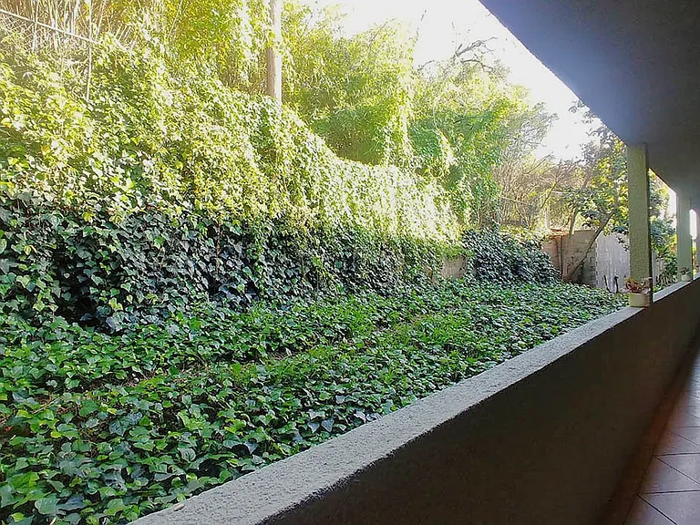 Carmel Heights Apts — Photo 11