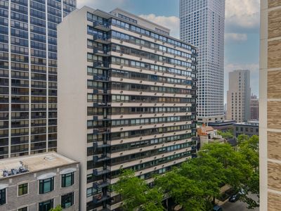 33 E Cedar St APT 6B, Chicago, IL, 60611