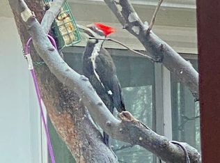 144 Pisgah View Dr, Candler, NC 28715