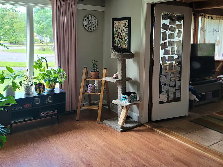 10 Pilgrim Ln — Photo 7