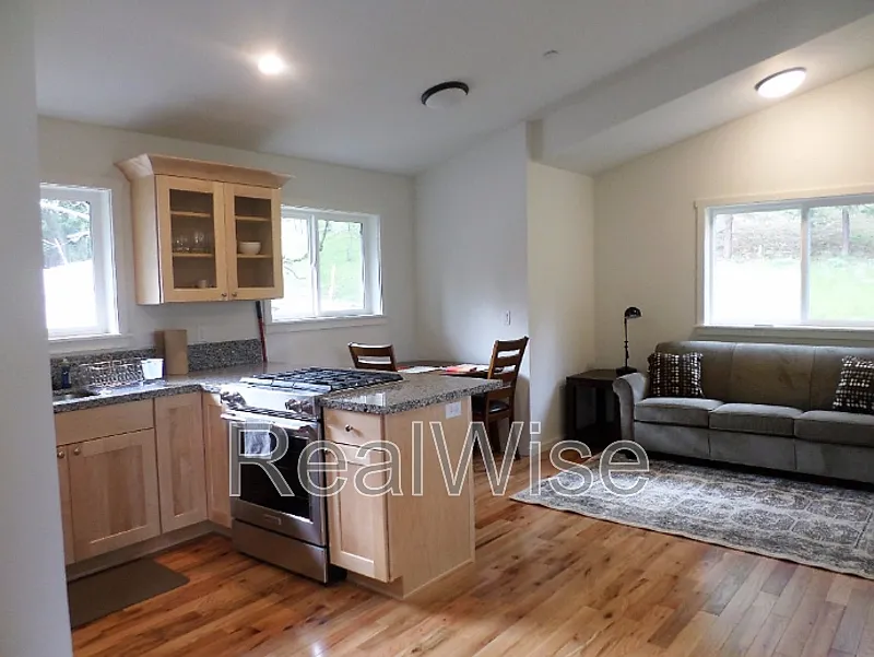 Studio, 1.0 bath, 490 sqft, $1,000 — Photo 4
