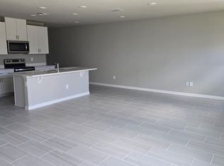 32478 Limitless Pl, Wesley Chapel, FL 33545