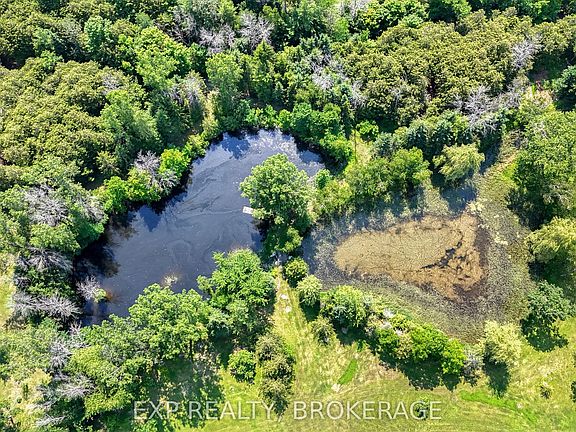 4th image of 1926 Centreville Rd