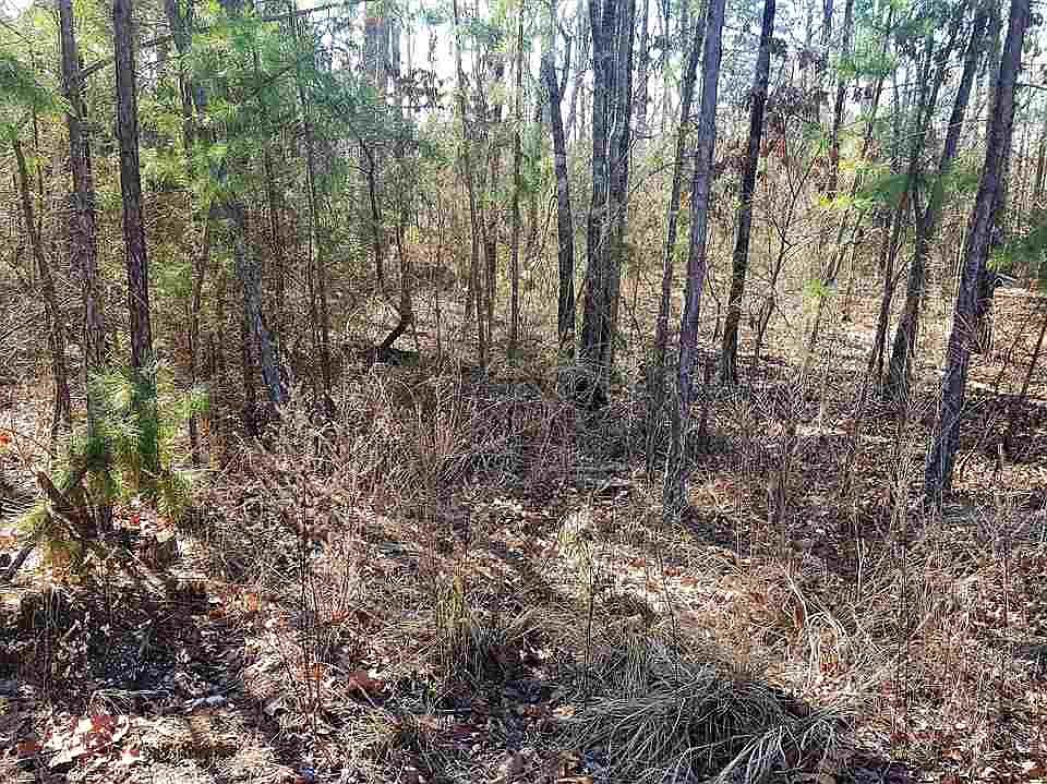 1st image of 4 Bosque Pl #31/3