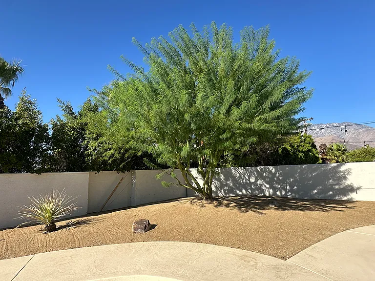 2897 E San Marino Rd — Photo 8