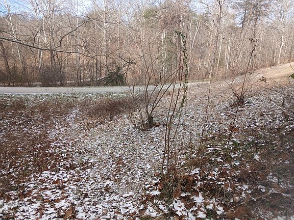 5th image of 617 Walk Log Br