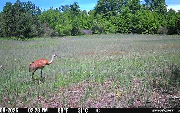 5th image of V/l 40ac Keck Rd
