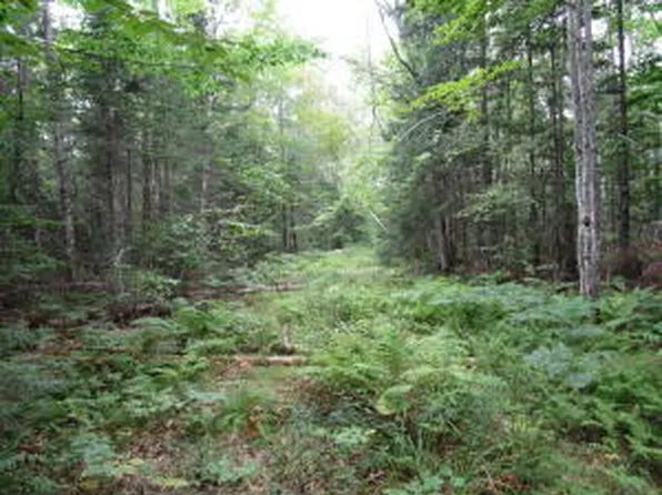 LOT#17 Randall Ridge, Maxfield, ME 04448