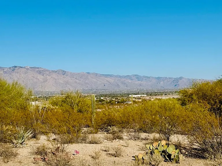 2620 W Ironwood Hill Dr — Photo 10