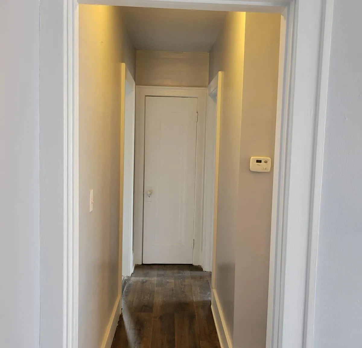 1 bed, 1000 sqft, $890 — Photo 2
