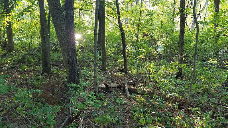 2nd image of 0 NICHOLS Road