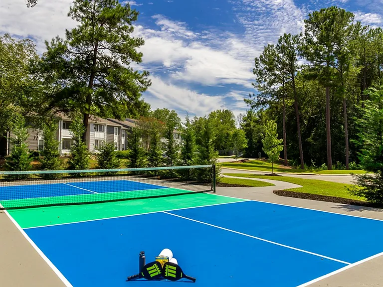 Pickleball Court